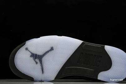 Hyperoad “Black Air Reimagined” Jordan Metallic 5 1001